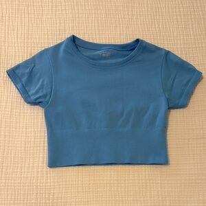 Blue Aerie Offline Seamless Crop Top